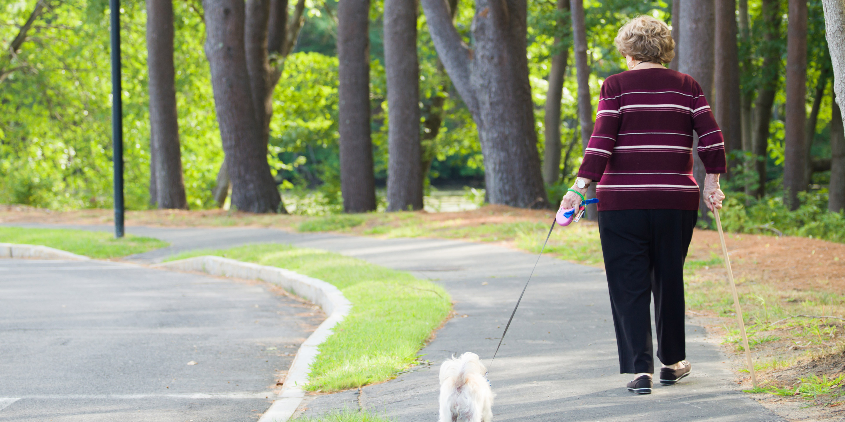 A woman walks down a path holding a dog leash in one hand and a walking stick in the other.