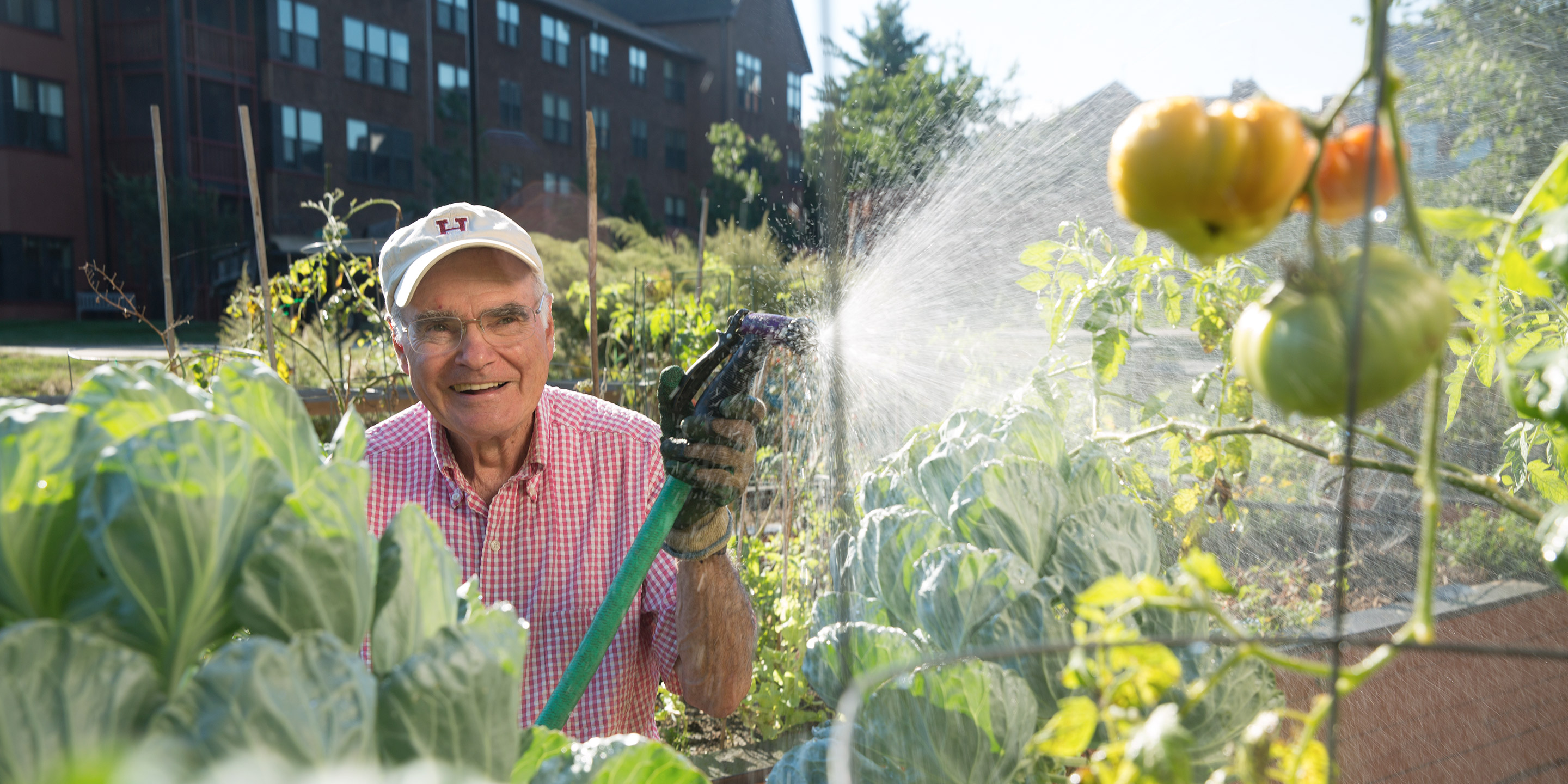 A male resident uses a hose to water his standing beds of vegetables.