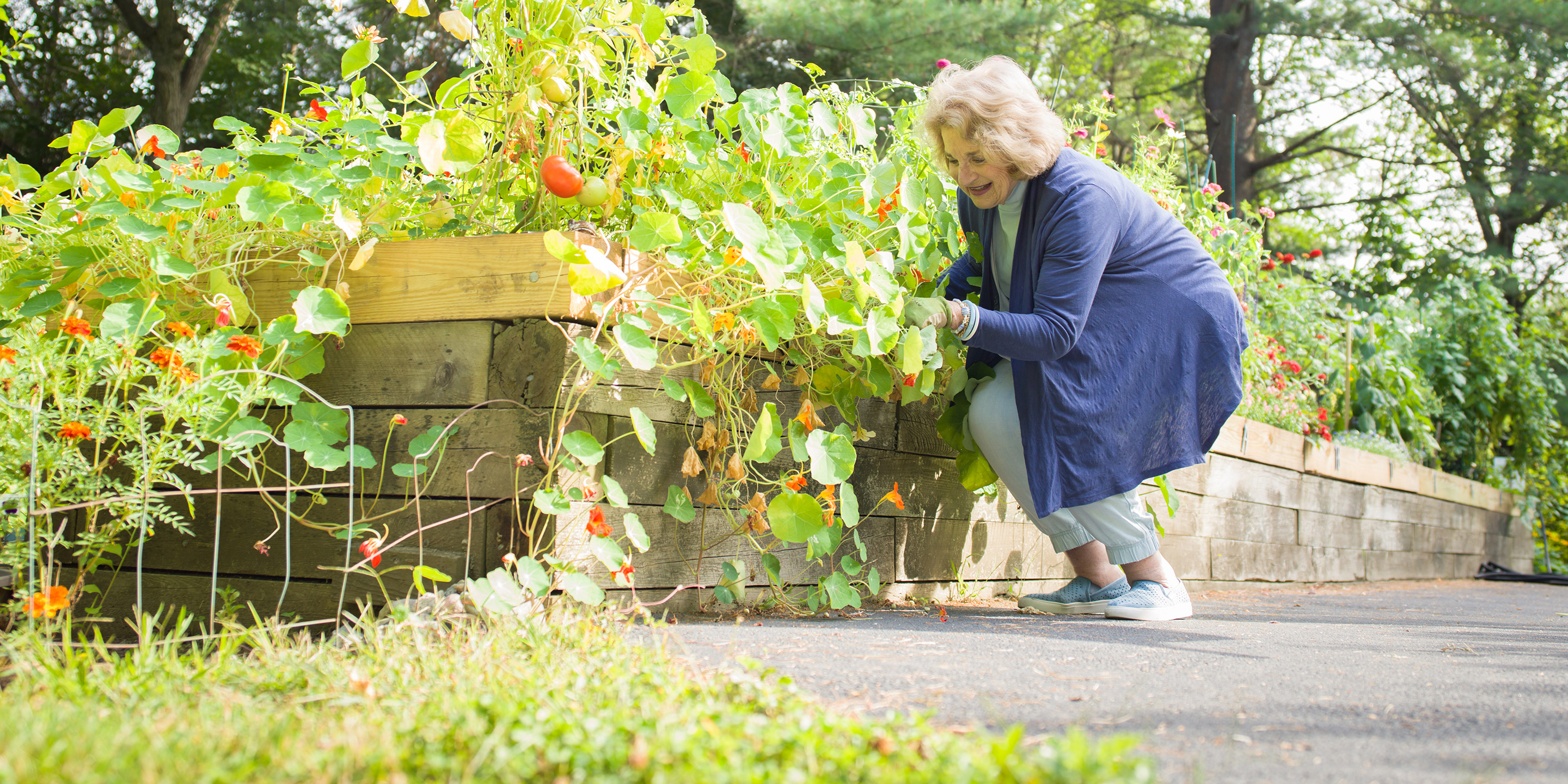 An female Orchard Cove resident tends to some plants in a garden