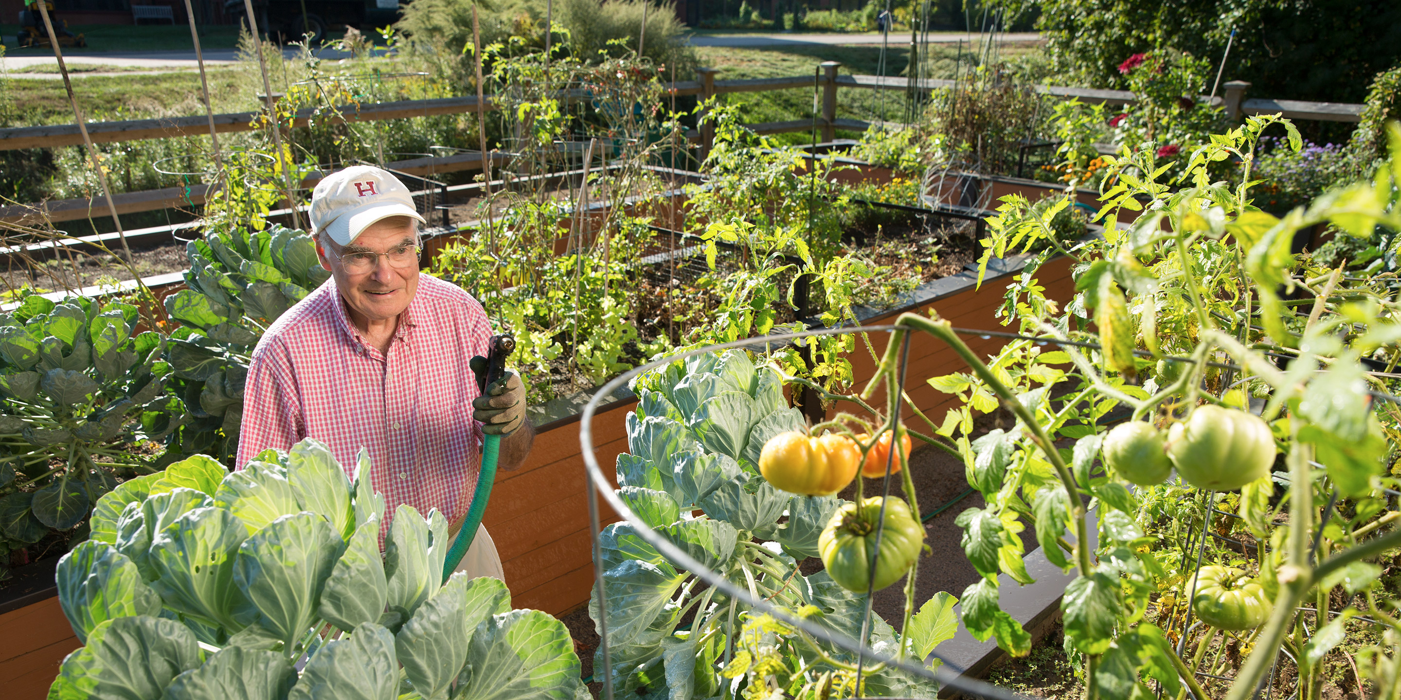 A NewBridge resident waters his vegetables in our raised garden beds