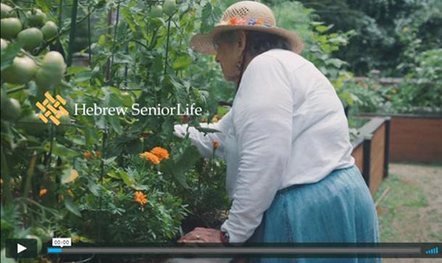 Sample Video Creative