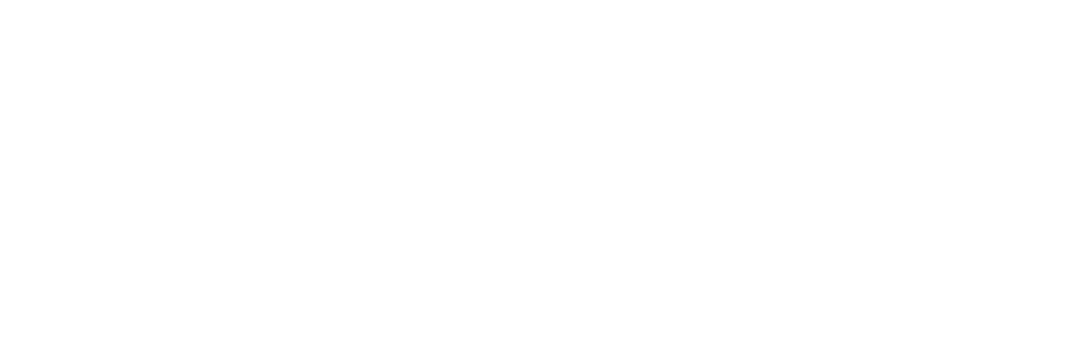 Newbridge on the Charles logo