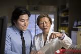 A female pharmacist and a male pharmacy student standing in the pharmacy at Hebrew Rehabilitation Center in Boston.