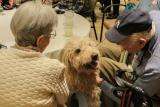An older male and female sit at a table and look down at a white dog