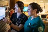 Nurses working together