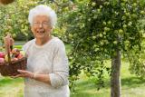 Older woman holding a basket of apples