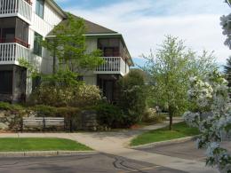 Orchard Cove exterior framed by flowering trees