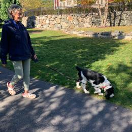 Woman resident walking her dog