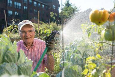 A male resident uses a hose to water his standing beds of vegetables.