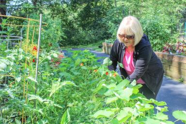 Older woman outside on a sunny day gardening and wearing sun glasses.