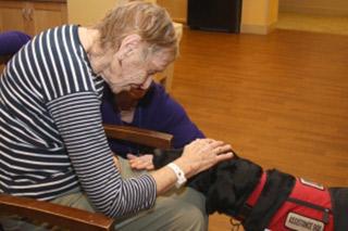 An elder woman pets Tamari, the ministry service dog