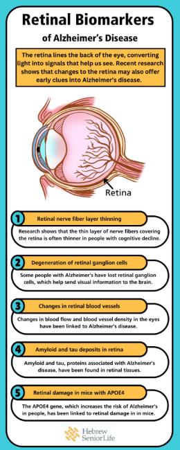 retinal biomarkers infographic