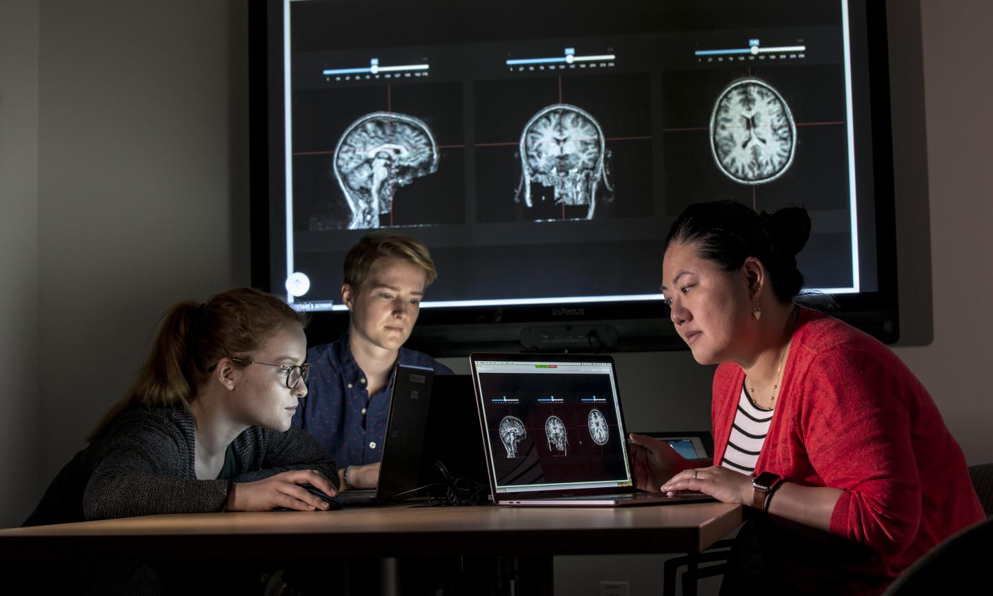 Three Marcus Institute researchers are seated at a table, each looking at a computer screen. One of the screens is facing us and displays image of three brain scans. Behind the people, the same image is projected on a large screen.