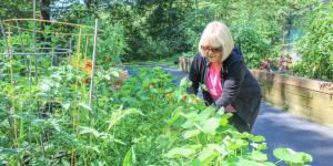 Older woman outside on a sunny day gardening and wearing sun glasses.
