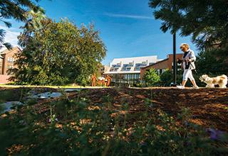 A NewBridge on the Charles resident walks her dog on a wooded trail that winds around the Shapiro Community Center.