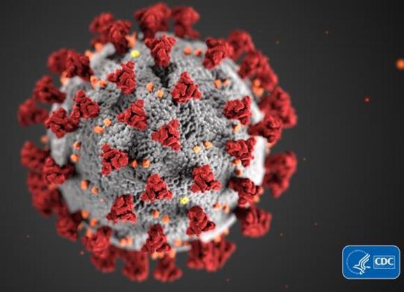 An image of the Covid-19 coronavirus cell.