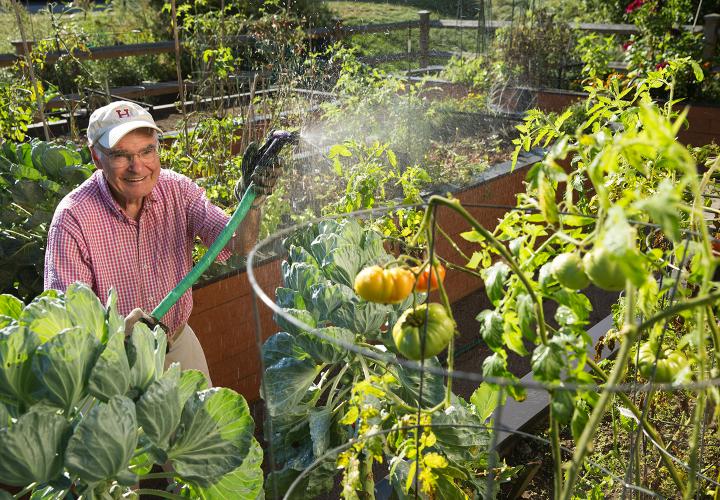 A NewBridge resident waters his vegetables in our raised garden beds
