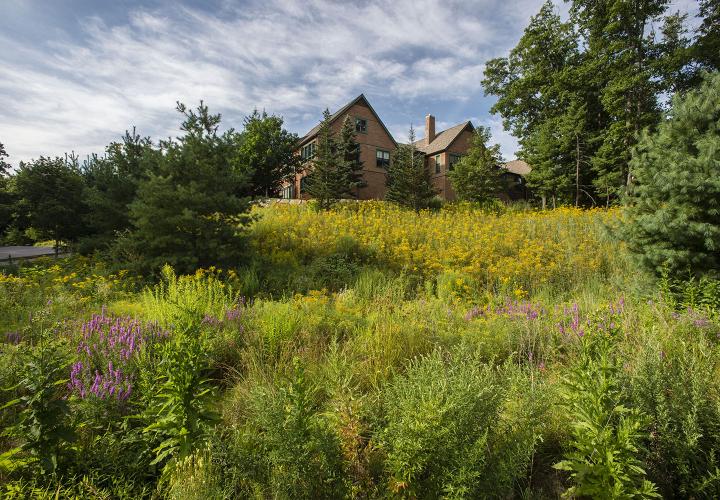 NewBridge on the Charles is surrounded by a 100-acre nature preserve.