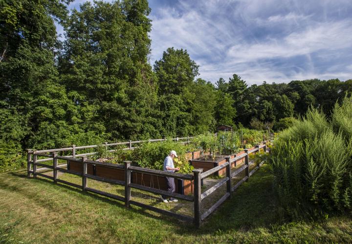 A man tends the outdoor garden at NewBridge on the Charles.