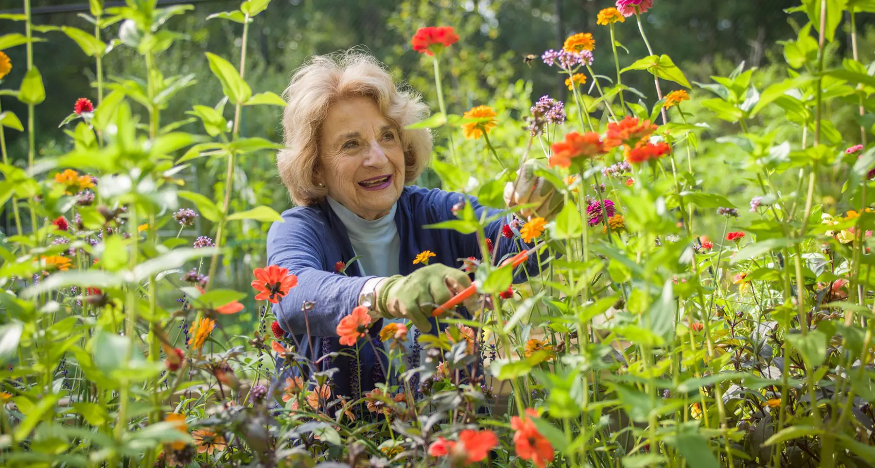 a smiling woman surrounded by wildflowers